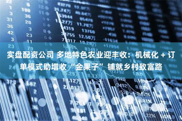 实盘配资公司 多地特色农业迎丰收：机械化 + 订单模式助增收 “金果子” 铺就乡村致富路