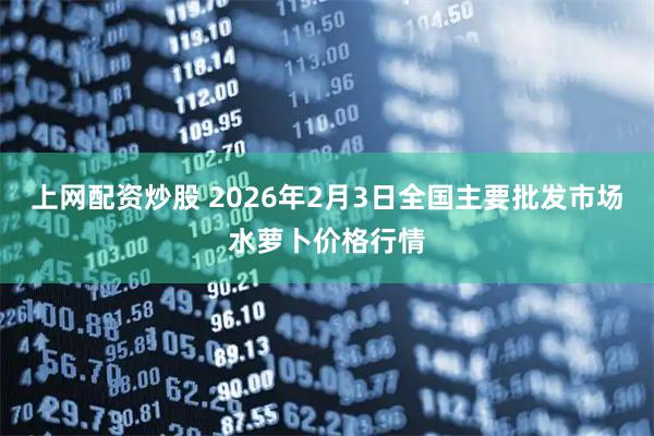 上网配资炒股 2026年2月3日全国主要批发市场水萝卜价格行情