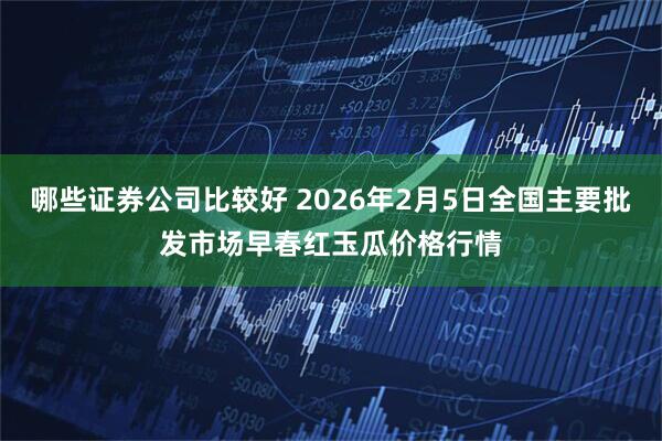 哪些证券公司比较好 2026年2月5日全国主要批发市场早春红玉瓜价格行情