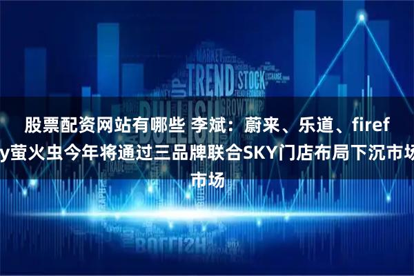 股票配资网站有哪些 李斌：蔚来、乐道、firefly萤火虫今年将通过三品牌联合SKY门店布局下沉市场